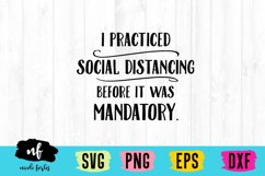 Social Distancing Expert SVG Product Image 2