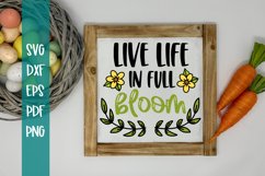 Live Life in Full Bloom SVG / Flower svg / Spring SVG Product Image 1