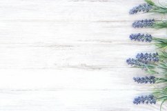Floral template lavender flower wood background stock photo Product Image 1