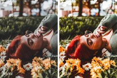 Fall Decor Mobile & Desktop Lightroom Presets Product Image 7
