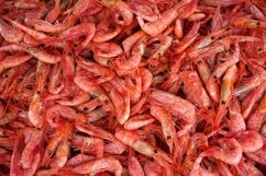 Natural background with lots of red cooked prawns. Product Image 1