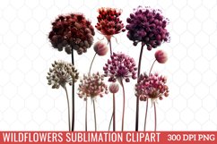 Wildflowers Sublimation Clipart Product Image 1