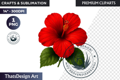 Flower Clipart PNG, Botanical Illustration Floral graphic Product Image 1