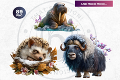 Watercolor Winter Wildlife Arctic Animal Clipart Set Product Image 18