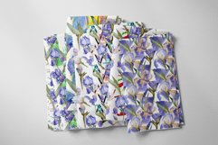 Blue irises flowers morning dawn watercolor png Product Image 6