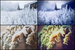 700 Christmas Lightroom Presets Product Image 4