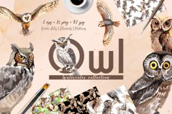 Owl Watercolor png Product Image 1