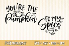 You're the pumpkin to my spice SVG cut file Product Image 1