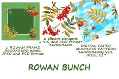 rowan bunch clipart set, frame and pattern Product Image 2