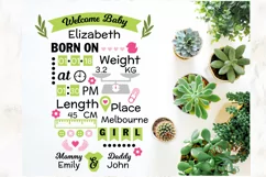 Baby girl announcement chart template SVG,DXF,PNG,EPS,PDF Product Image 2