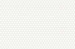 Ornamental seamless patterns. Product Image 7