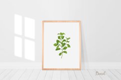 Watercolour wall art, Watercolour Herbs prints, Herbs poster Product Image 3