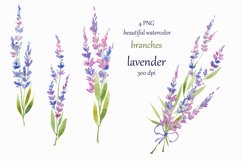 watercolor hand painted Lavender Clipart Product Image 1