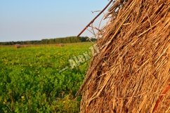 Autumn Scene bale of straws Product Image 1