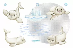 Watercolor Beluga Whales Clipart, PNG digital files on trans Product Image 2