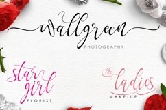 Web Font Yalanda Script Product Image 3