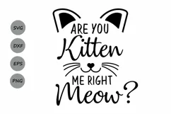 Are you kitten me right meow? SVG, cat svg, kitten svg. Product Image 1
