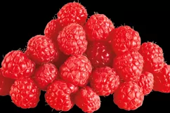 100 FRUITS TRANSPARENT PNG FILES, PHOTOSHOP OVERLAYS Product Image 14