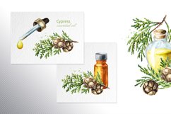 Cypress. Watercolor collection Product Image 6