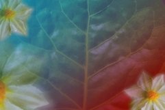 Background flower Nature 8 Product Image 1