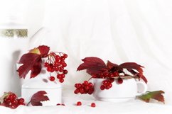Winter viburnum Product Image 1