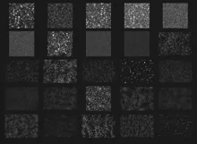 200 WINTER SNOW TRANSPARENT PNG FILES, PHOTOSHOP OVERLAYS Product Image 7