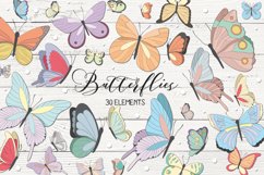 Butterflies  Product Image 1