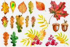 Watercolor autumn splendor Product Image 6