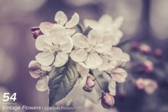 55 Vintage Flowers Lightroom Presets Product Image 1
