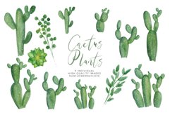 Watercolor Cactus Plant Clipart Set Product Image 1