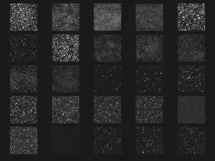 200 WINTER SNOW TRANSPARENT PNG FILES, PHOTOSHOP OVERLAYS Product Image 12