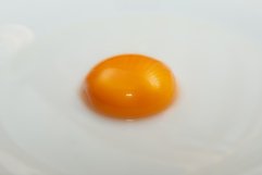 egg yolk on white plate as background Product Image 1