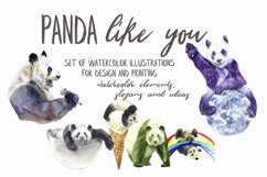 Panda Like You Watercolor Set Product Image 1