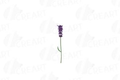 Lavender leaves and bouquets watercolor clip art pack Product Image 2