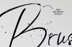 Web Font BlackSilver Brush Font Product Image 9
