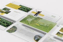 Peaty Land Keynote Template Product Image 2