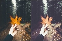 46 Vintage Autumn Colors Lightroom Presets Product Image 4