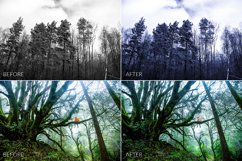 Dark Forest Lr Presets Product Image 9