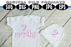 Baby Shirt Months 1-12 for Growing Pictures Product Image 4