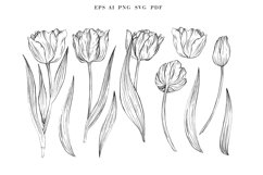 Floral SVG bundle, Tulip SVG clipart , Set of SVG flowers Product Image 3