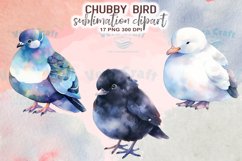 Chubby Bird Watercolor Sublimation Clipart Product Image 9