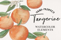 Tangerine Watercolors Clipart Elements Oranges Fruit Leaves Product Image 1
