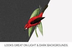 Bird Clipart Tanager Product Image 2