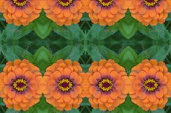 12 abstract Seamless colorful FLOWER patterns pack. Product Image 3