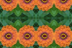 12 abstract Seamless colorful FLOWER patterns pack. Product Image 3