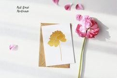 Peony svg, Hand drawn peony flowers PNG, Flowers SVG Product Image 3