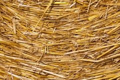 agricultural field with straw stacks Product Image 1