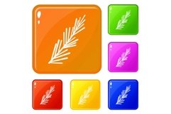 Rosemary spice icons set vector color Product Image 1