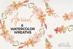 Apricot Wreaths Watercolor 6 Flowers Leaves Orange Pink Product Image 1