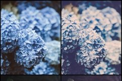 55 Vintage Flowers Lightroom Presets Product Image 3